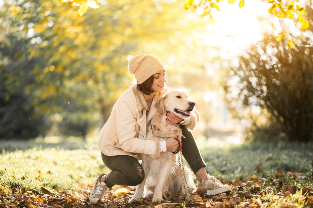 Baby-sitter pour chien